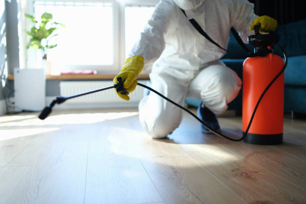 Trusted Sewage Cleanup service in Inverness, FL - Four Month Blood Cleanse